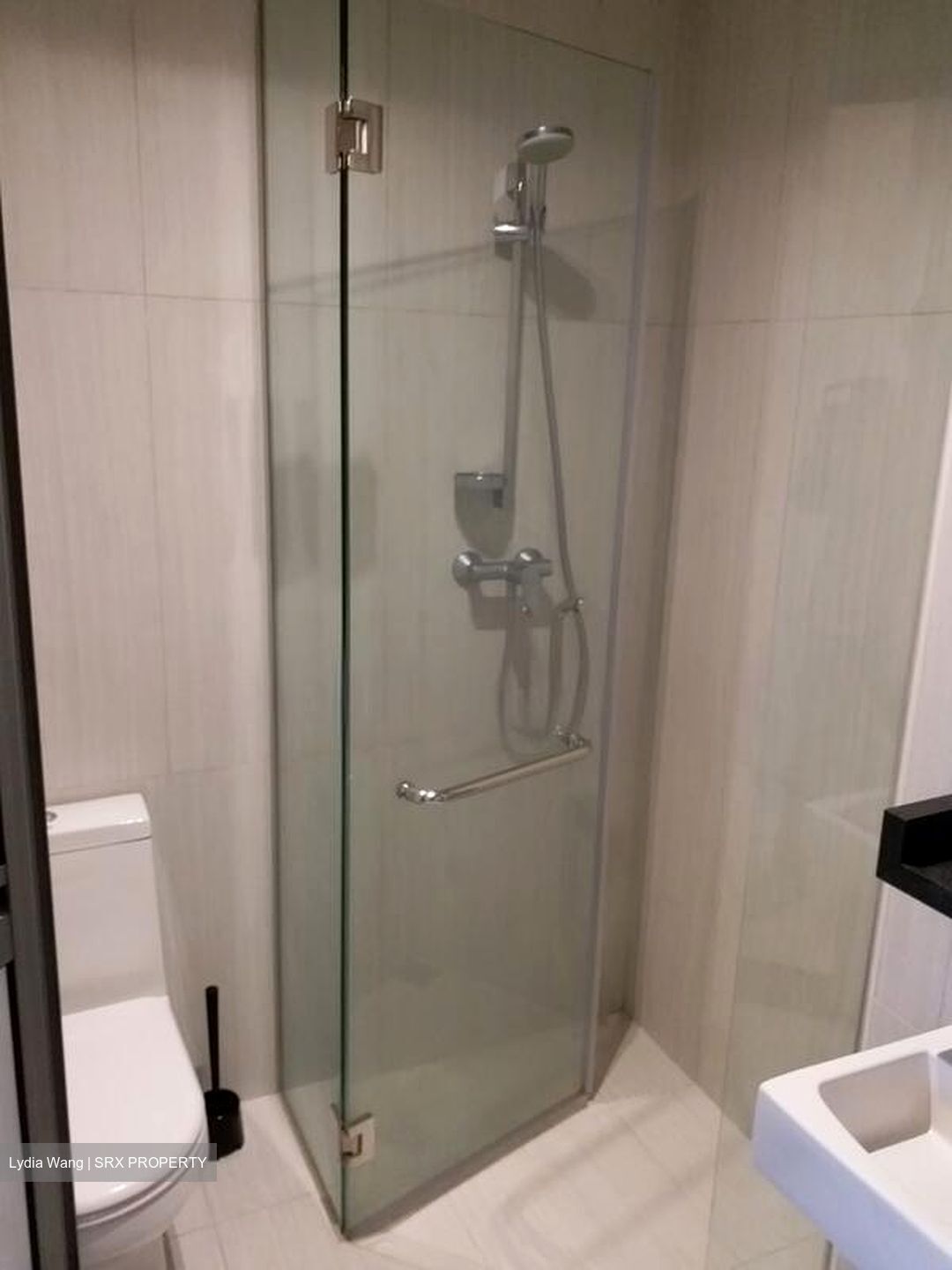 The Rise @ Oxley (D9), Condominium #507580741